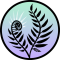 fern circle